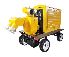 柴(chai)油機自吸(xi)泵 泵車